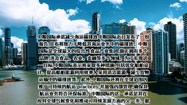 中粮国际仓储运输公司