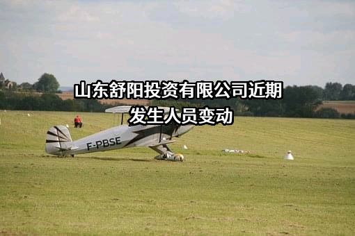 山东舒阳投资有限公司