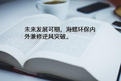 安徽海螺环保集团有限公司