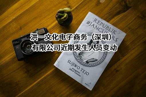 洪一文化电子商务（深圳）有限公司