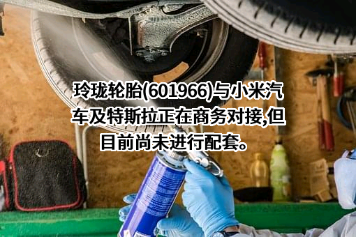 特斯拉（上海）有限公司