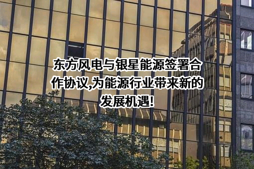 宁夏银星能源股份有限公司