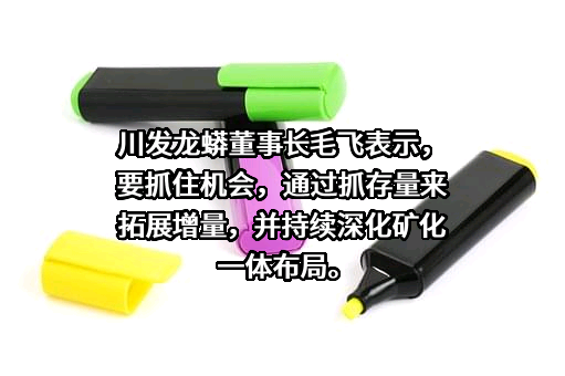 四川发展龙蟒股份有限公司