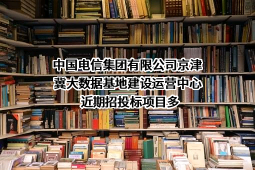 中国电信集团有限公司京津冀大数据基地建设运营中心
