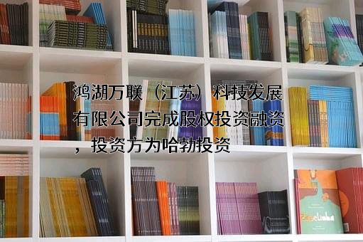 鸿湖万联（江苏）科技发展有限公司