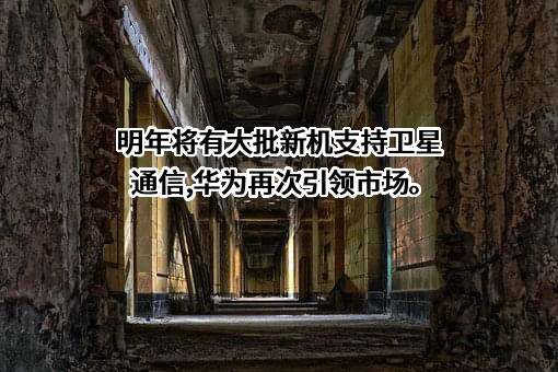 华为技术有限公司