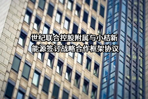 江西小桔新能源有限公司