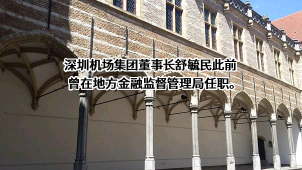 深圳市机场（集团）有限公司