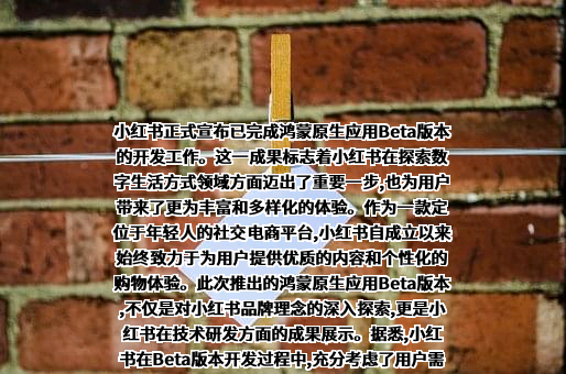 行吟信息科技（上海）有限公司