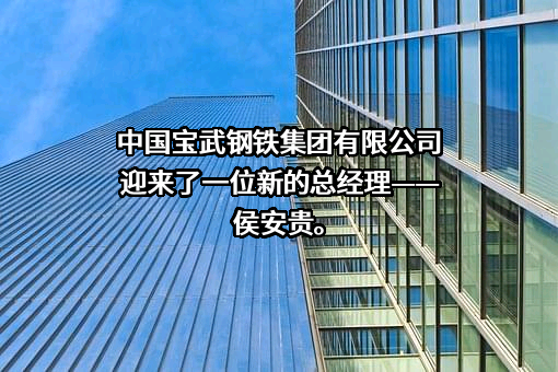 中国宝武钢铁集团有限公司