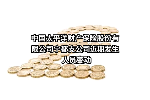 中国太平洋财产保险股份有限公司宁都支公司