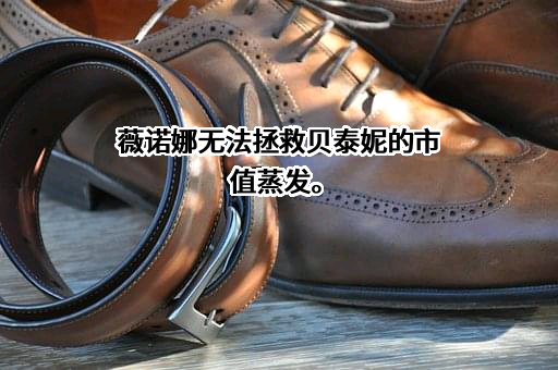 云南贝泰妮生物科技集团股份有限公司