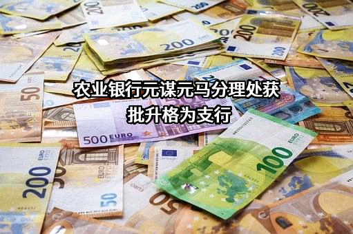 中国农业银行股份有限公司