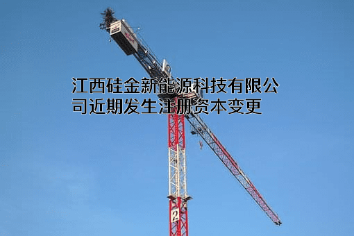 江西硅金新能源科技有限公司