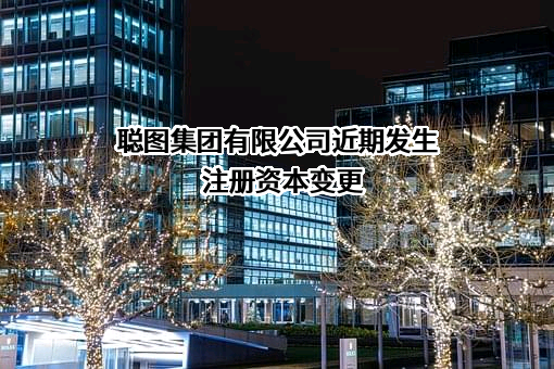 聪图集团有限公司