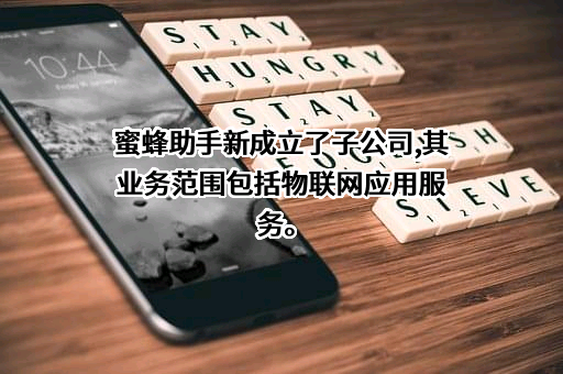 蜂助手股份有限公司