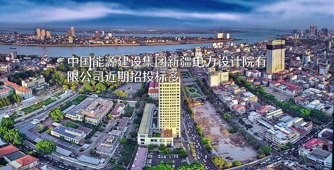中国能源建设集团新疆电力设计院有限公司