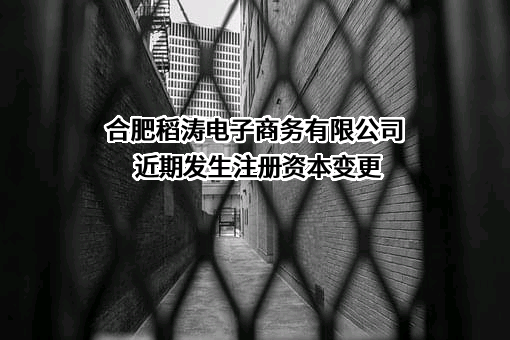 合肥稻涛电子商务有限公司