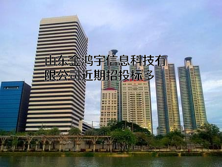 山东金鸿宇信息科技有限公司近期招投标项目多