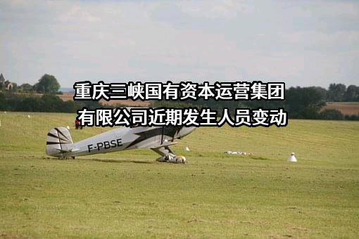 重庆三峡国有资本运营集团有限公司
