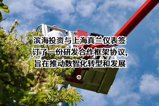 天津滨投新智科技有限公司
