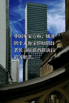 中国平安保险（集团）股份有限公司
