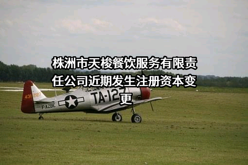 株洲市天梭餐饮服务有限责任公司