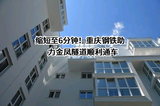 重庆钢铁股份有限公司