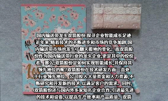 浙江双箭橡胶股份有限公司