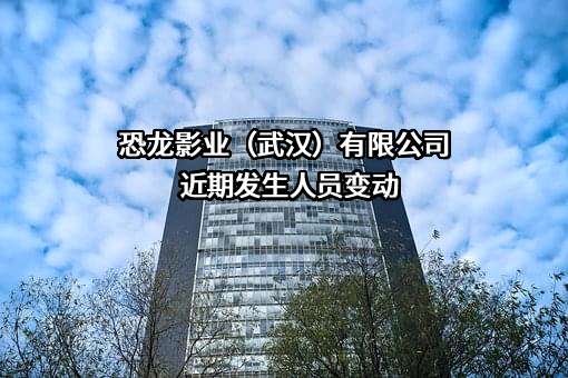 恐龙影业（武汉）有限公司