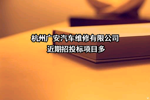 杭州广安汽车维修有限公司