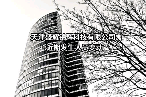 天津盛耀锦辉科技有限公司