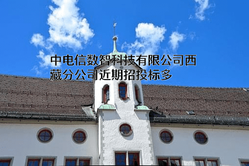 中电信数智科技有限公司西藏分公司