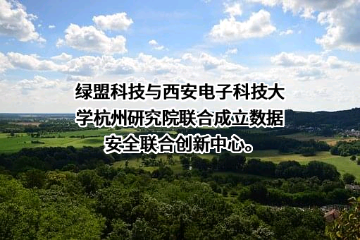 绿盟科技集团股份有限公司