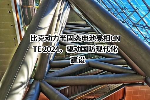 深圳市比克动力电池有限公司