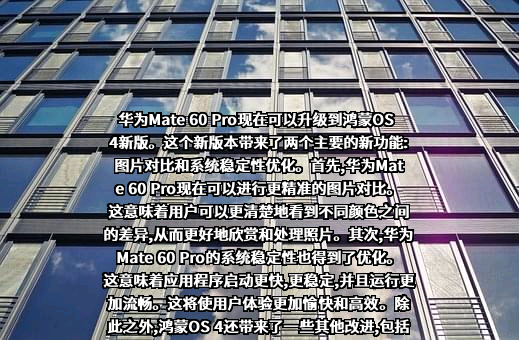 华为技术有限公司