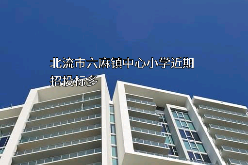 北流市六麻镇中心小学近期招投标项目多