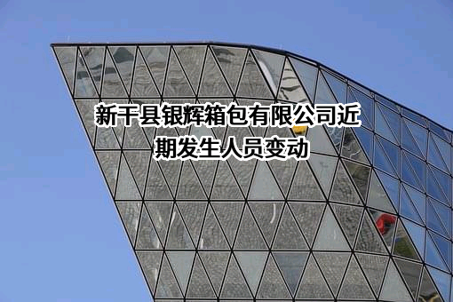 新干县银辉箱包有限公司
