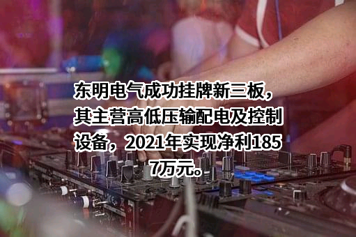 安徽东明电气有限公司