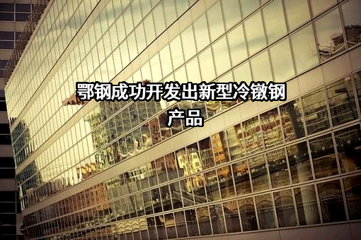 湖北鄂钢商贸服务有限公司