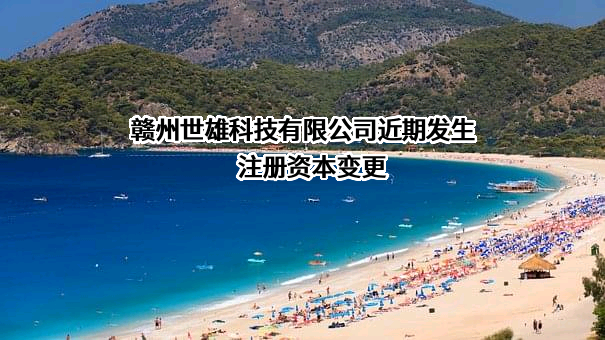 赣州世雄科技有限公司