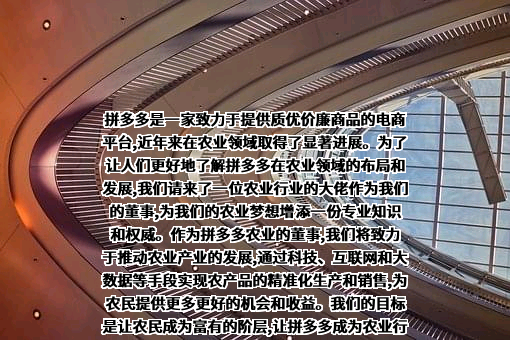 上海寻梦信息技术有限公司