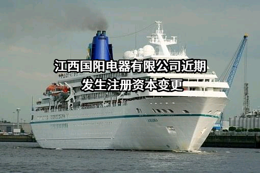 江西国阳电器有限公司