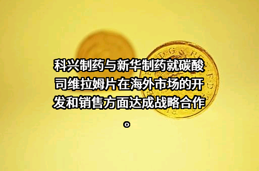 山东新华制药股份有限公司
