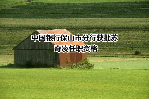 中国银行股份有限公司保山市分行