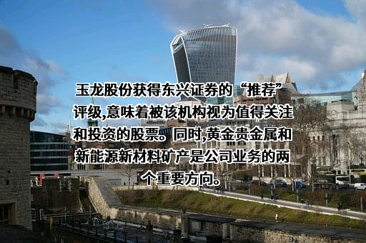 山东玉龙黄金股份有限公司