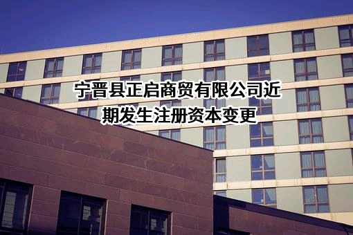 宁晋县正启商贸有限公司