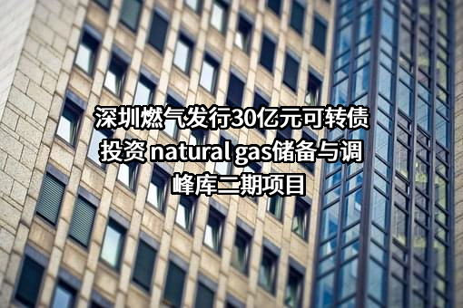 深圳市燃气集团股份有限公司