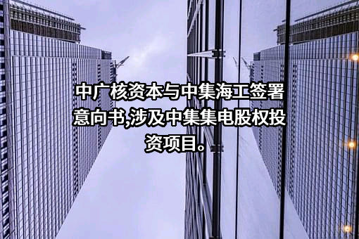 深圳中集海工投资有限公司
