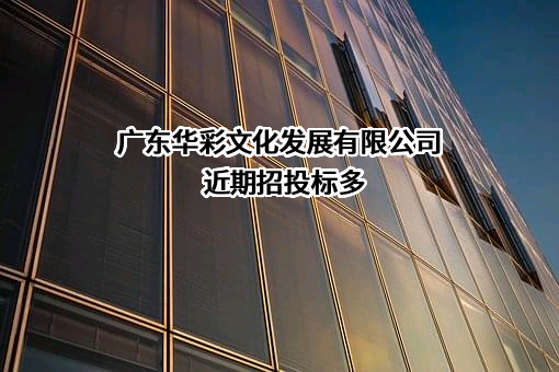 广东华彩文化发展有限公司